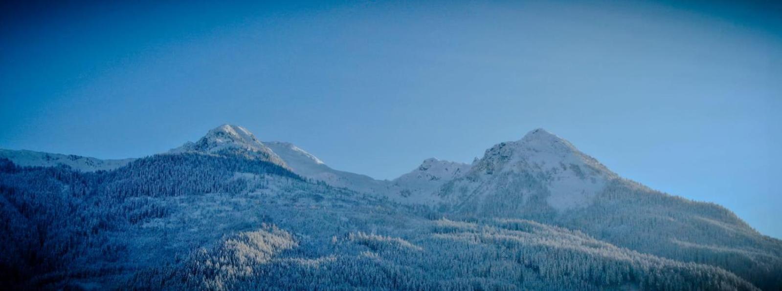Appartement Reichholf Bramberg am Wildkogel Exteriör bild